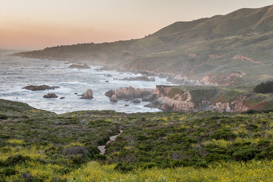 Coastline - Carmel-by-the-Sea