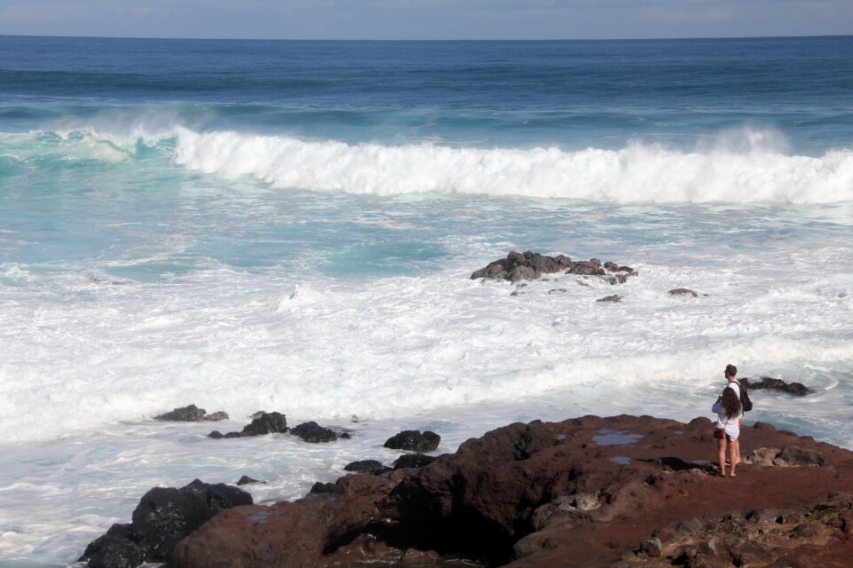 Ho'okipa Beach Park