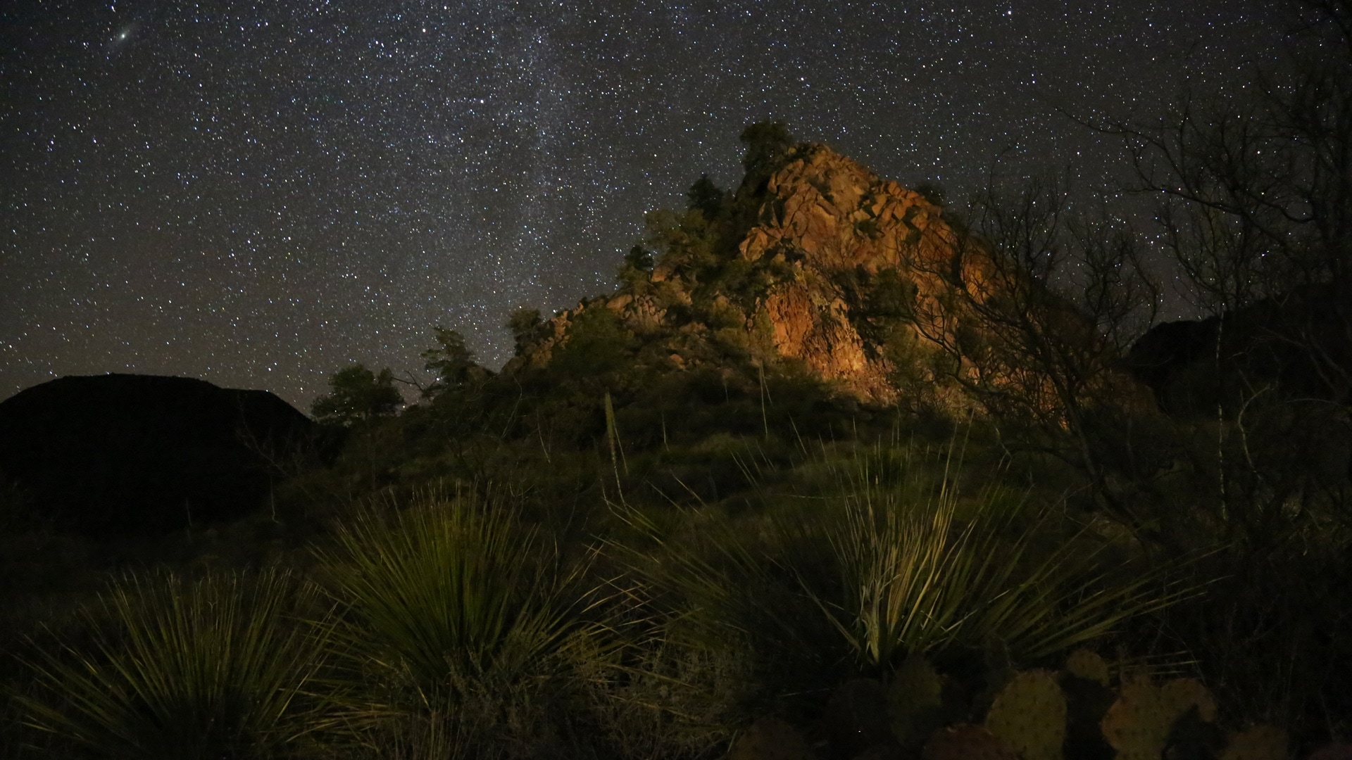 Stargazing in Texas: McDonald Observatory and Beyond