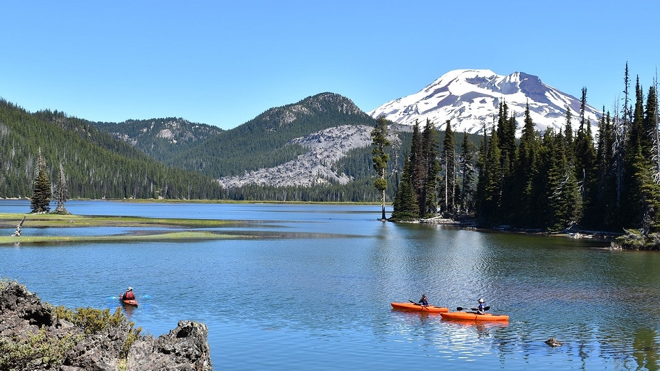 Washington Road Trips