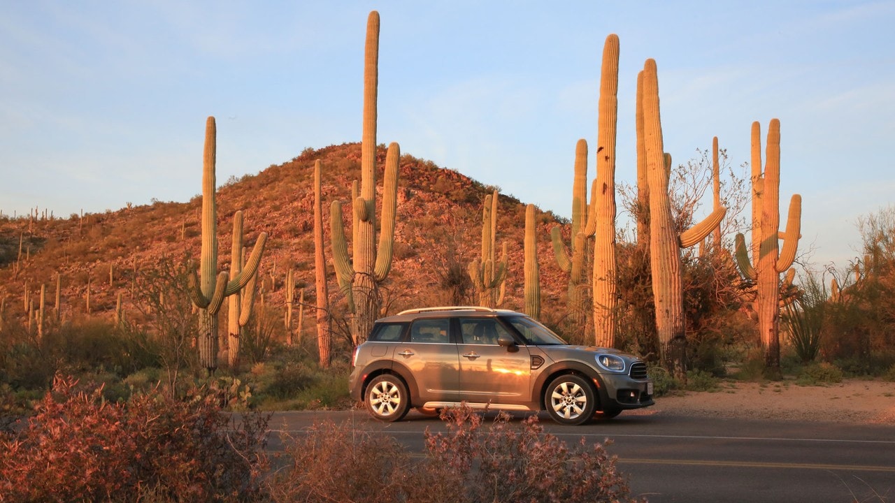 A Mini Cooper is dwarfed by giant saguaro cactus at Saguaro National Park in Arizona.