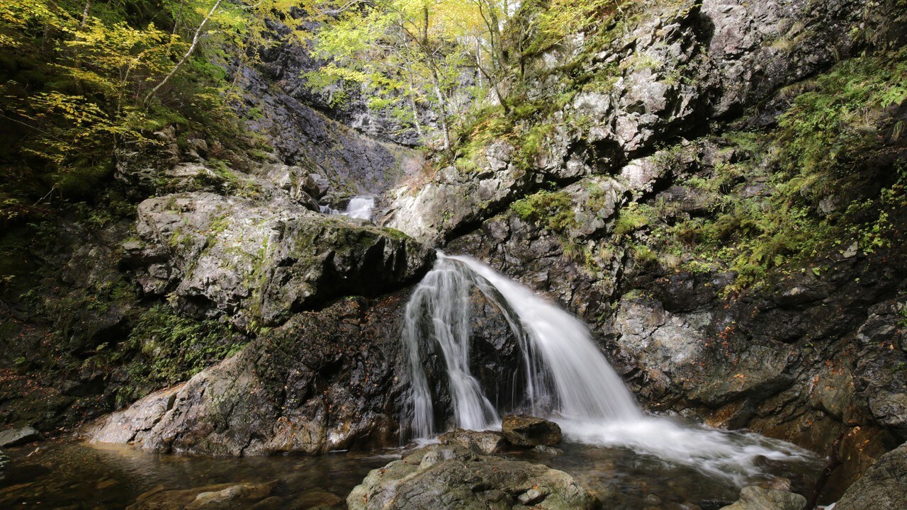 The MacINtosh Brook Trail has a lovely waterfall.