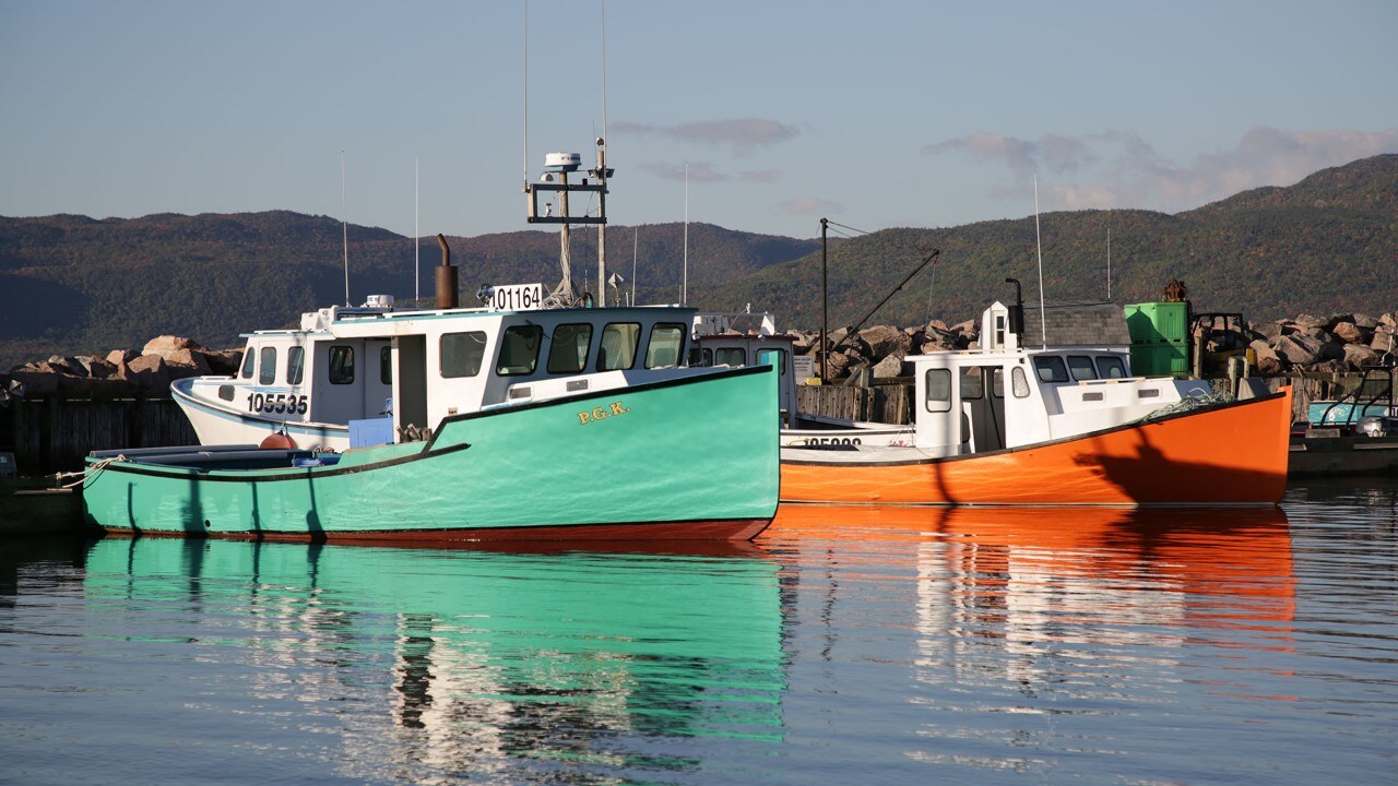 Fishing boats