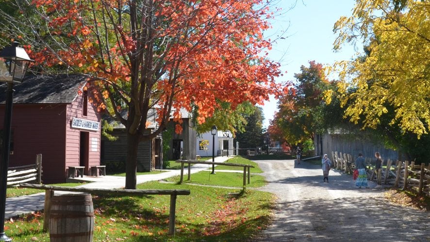 Drives - Canadian Thanksgiving History - Black Creek Village