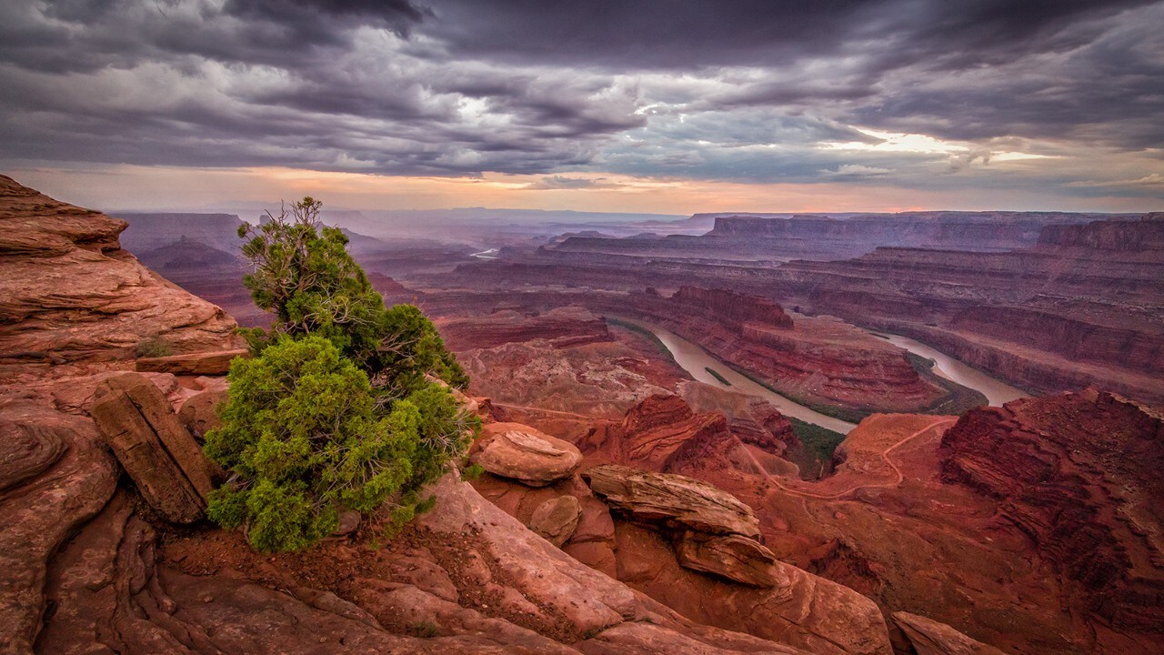 The Colorado River snakes its way through a canyon at Deadhorse Point State Park.