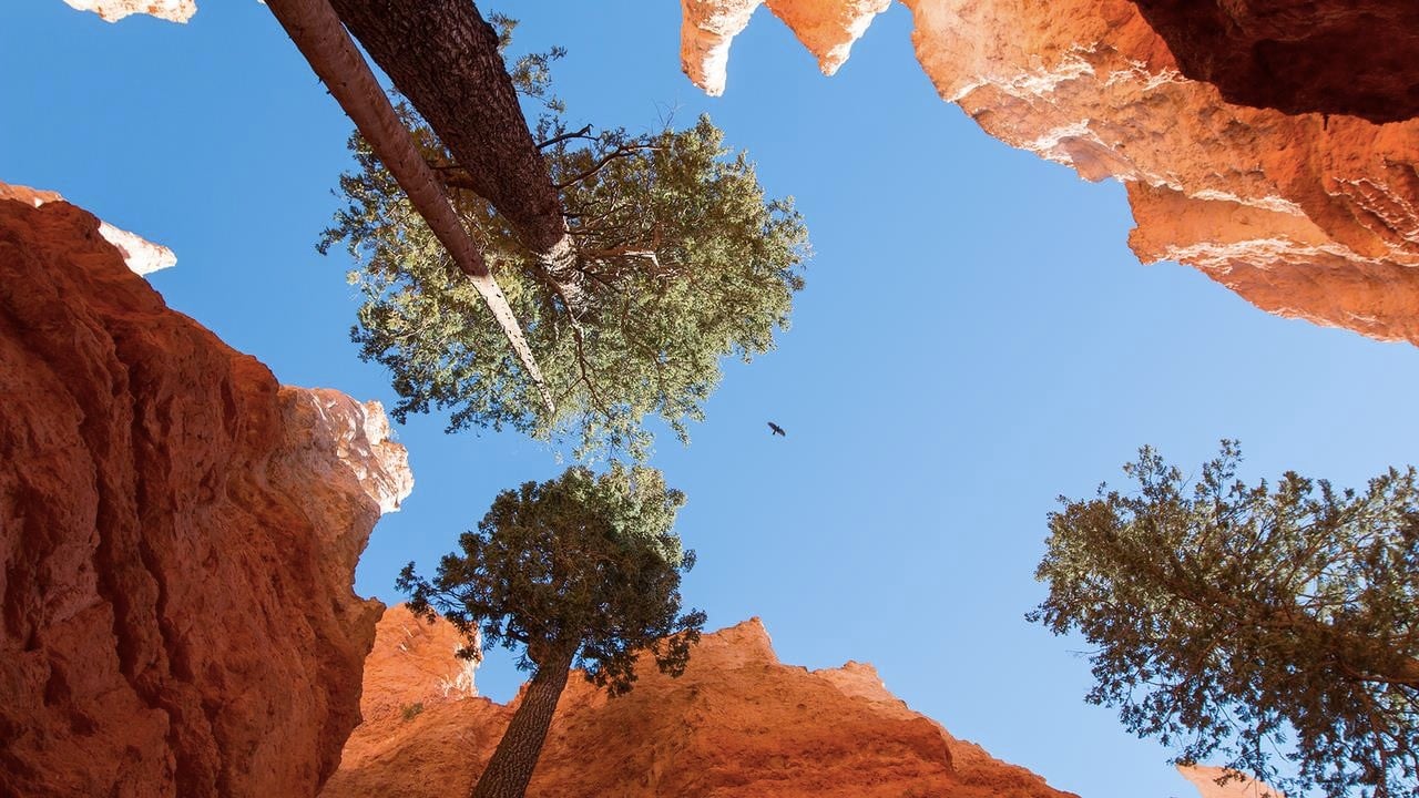 Bryce Point at Bryce Canyon