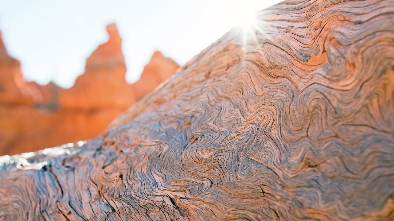 Close up in Bryce Canyon