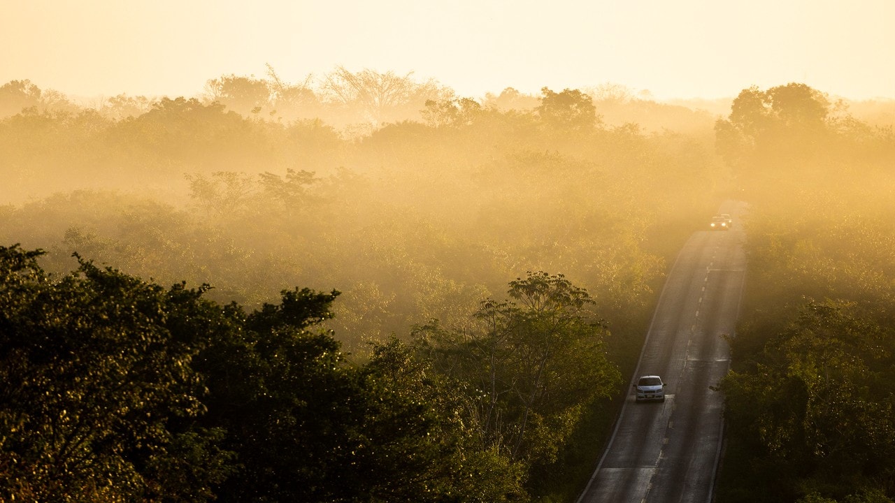 Morning fog floats above the trees along Highway 180D northwest of Playa del Carmen. 