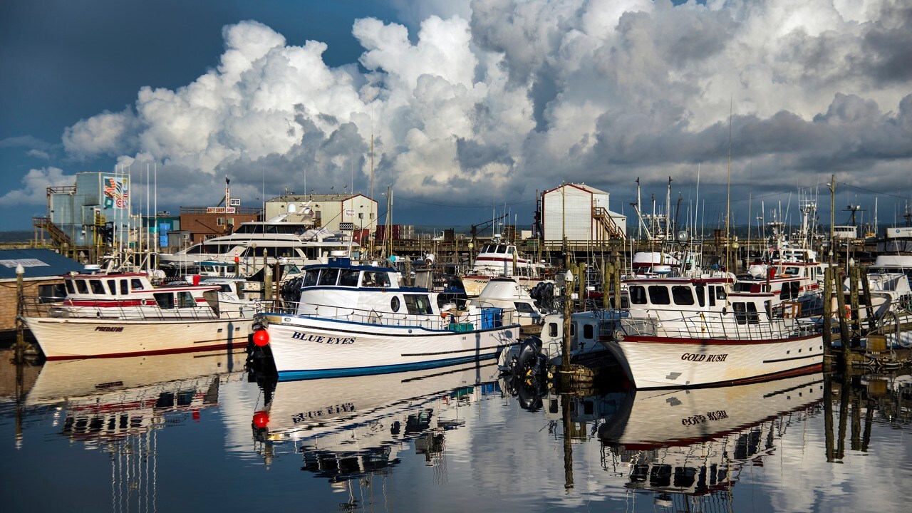 Charter boats at Westport, Washington. 