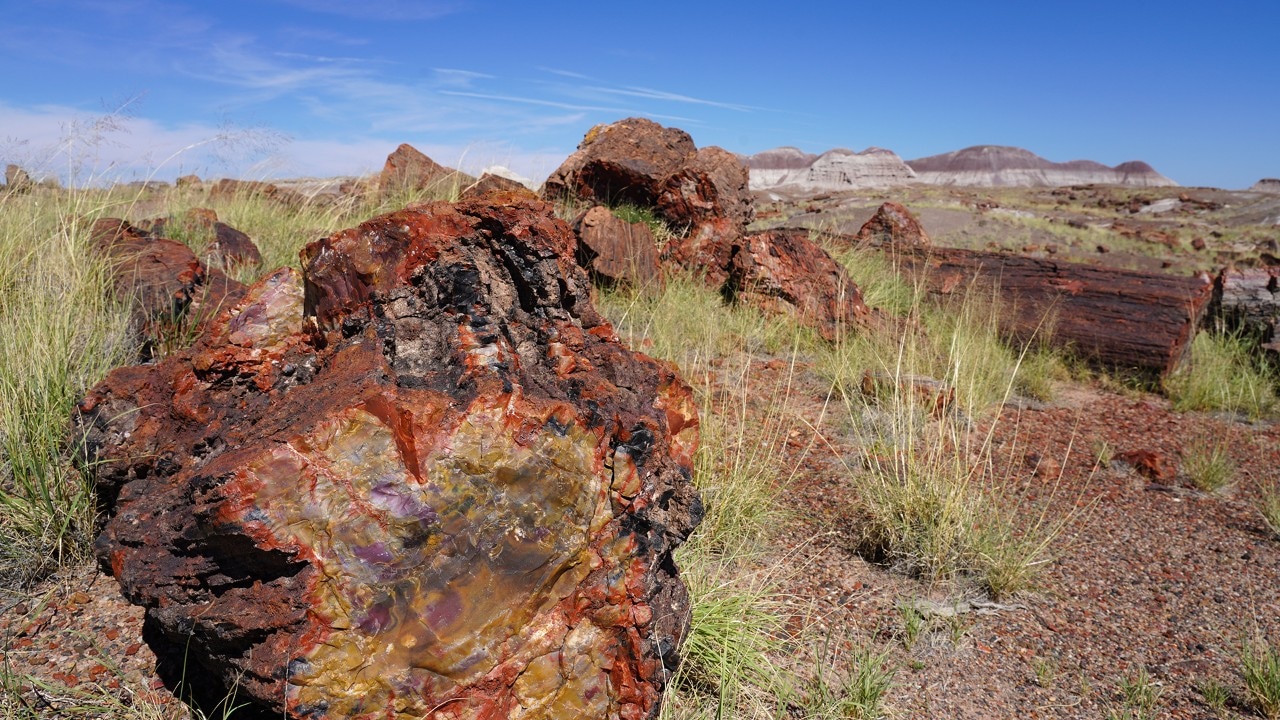 The Crystal Forest Trail is named for the beautiful crystals seen in the logs.