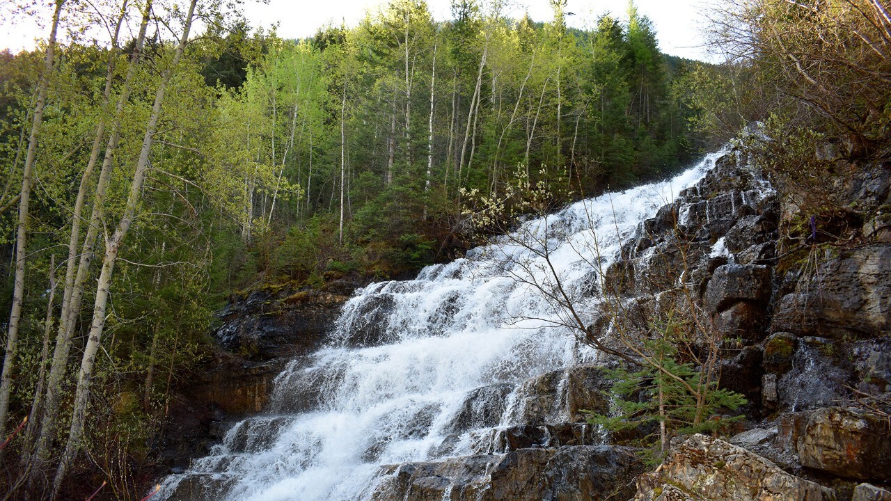 Dozens of waterfalls flow throughout Yellowstone National Park.