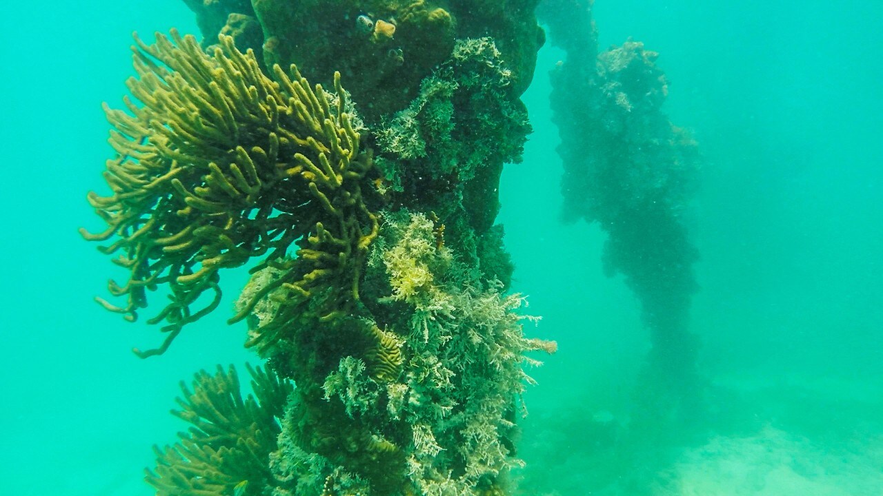 Dry Tortugas National Park