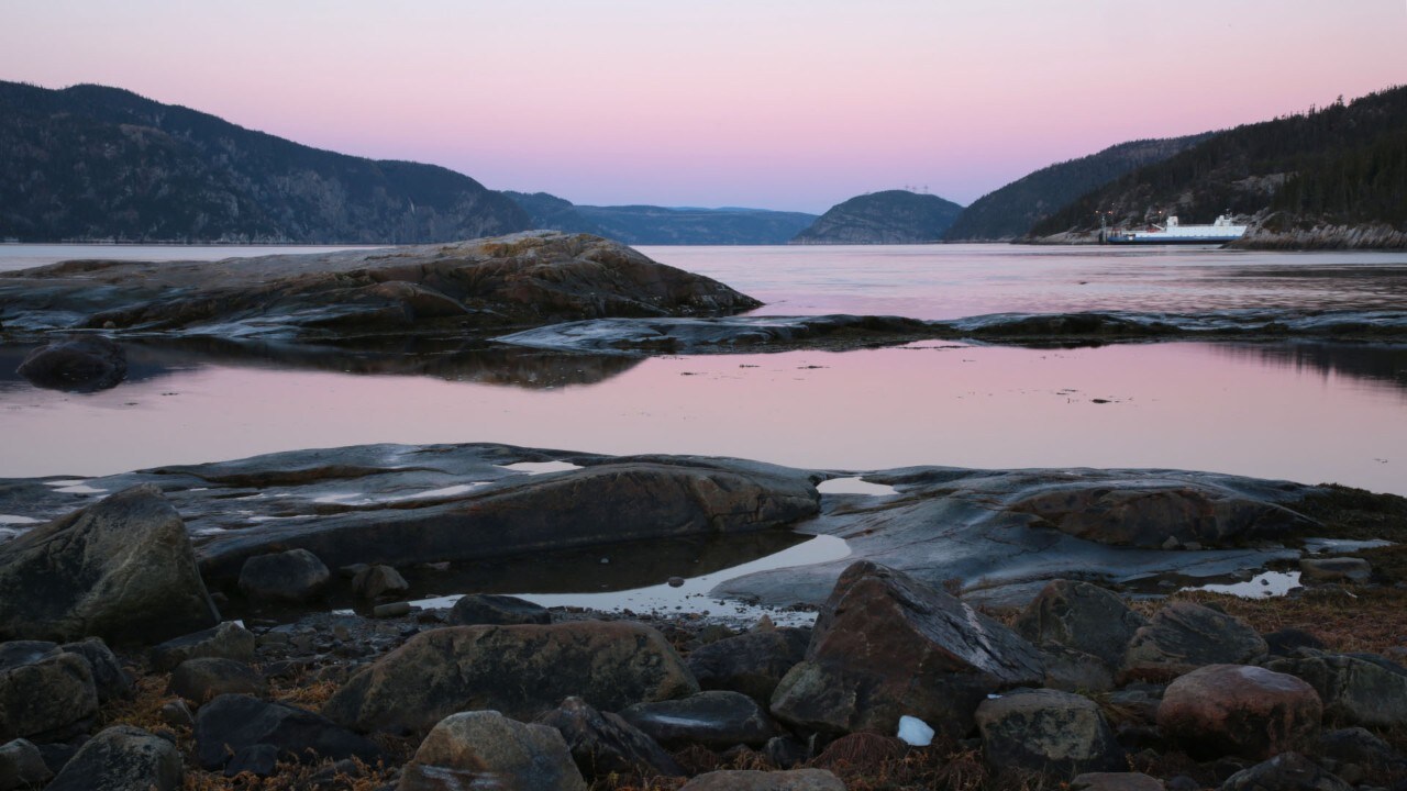 The waters off Tadoussac, Quebec, are a playground for 13 whale species. Photo by Charles Williams