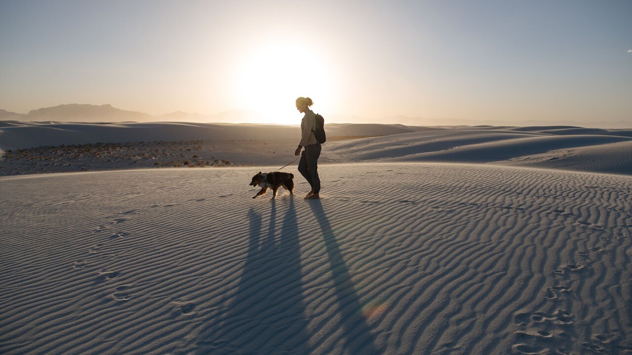 The dunes at White Sands National Park shift with the wind, covering footprints almost immediately.