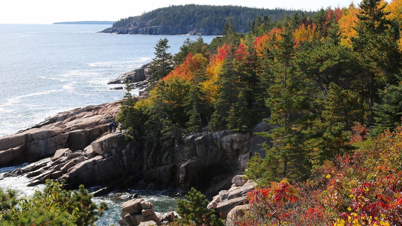 Acadia National Park's shoreline explodes with color in fall. Photo by Charles Williams