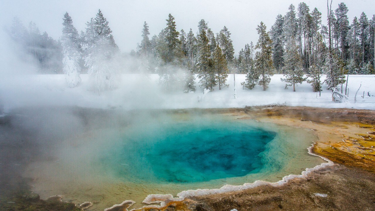 Silex Spring. Photo by Derek Jerrell