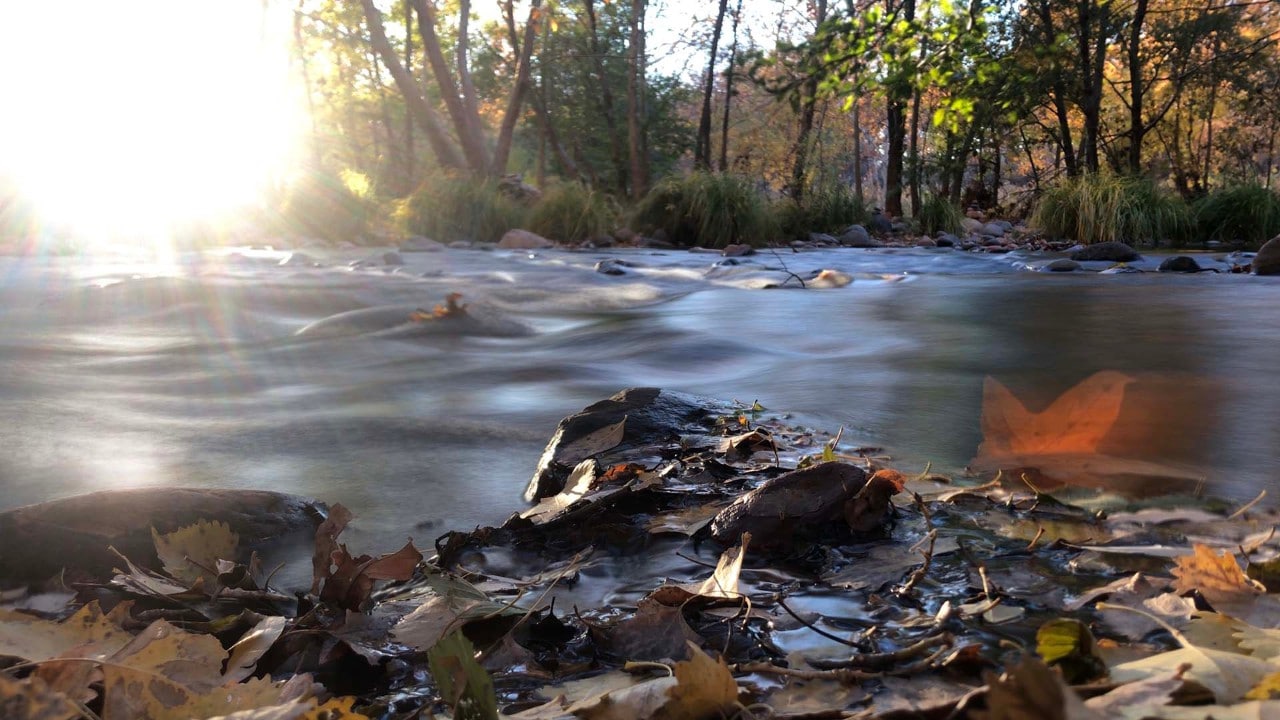 The Oak Creek River Gorge is one of the most popular spots in Sedona