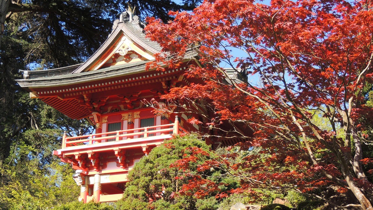 The Japanese Tea Garden in Golden Gate Park