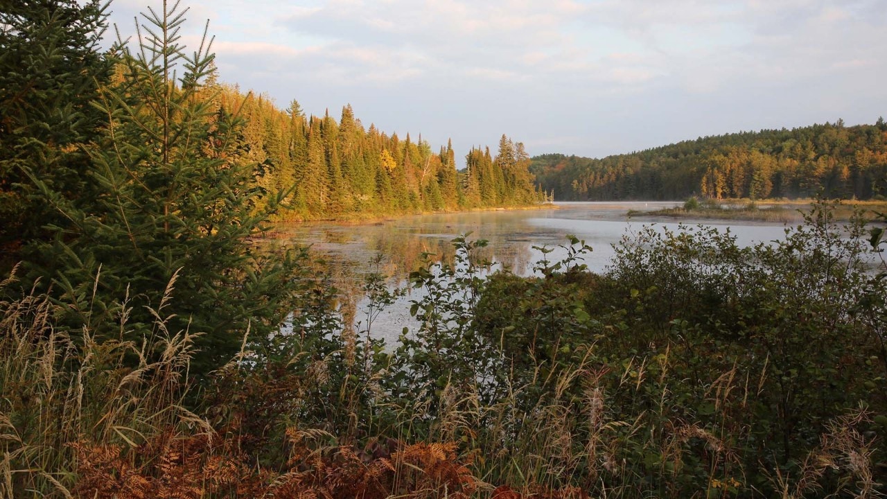 A river near Lake Opeongo