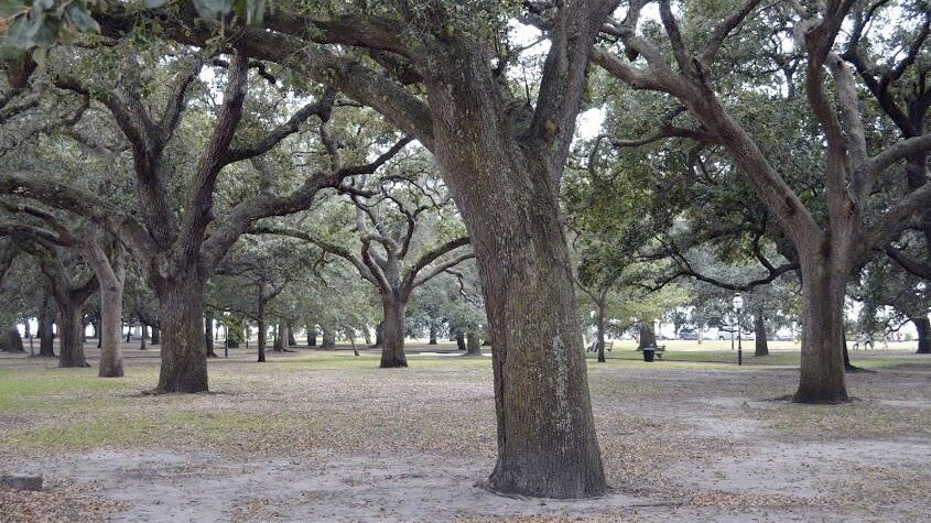 White Point Garden.