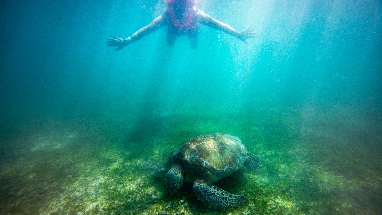 Playa Akumal