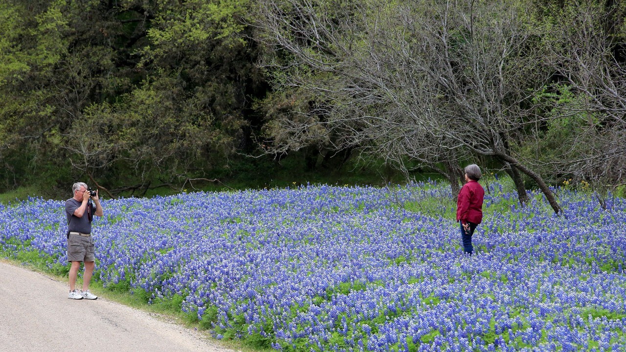 People pose in bluebonnets