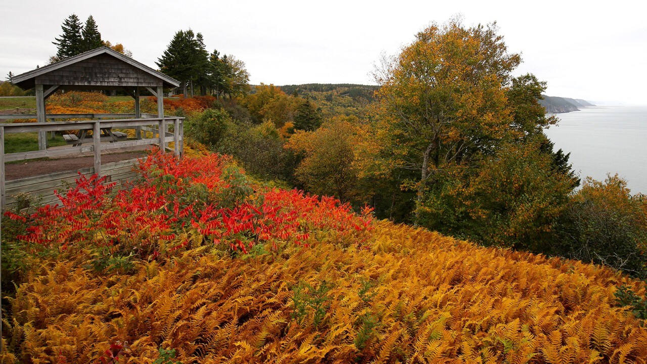 Overlook on the Fundy Trail Parkway.