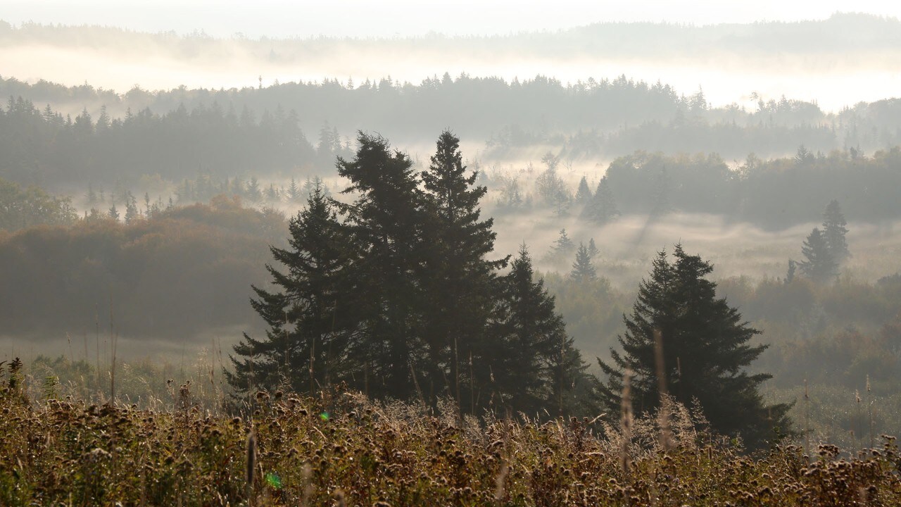 The sun rises along the foggy New Brunswick coast.