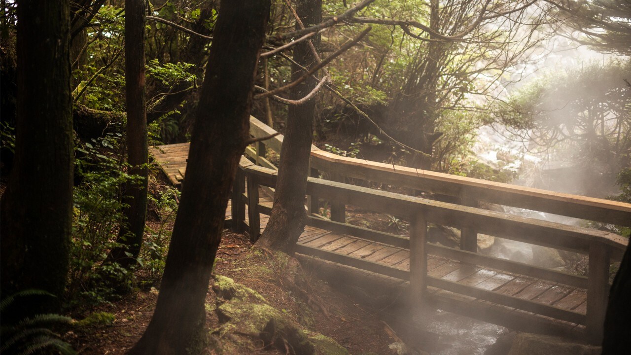 Steam rises from the hot springs.