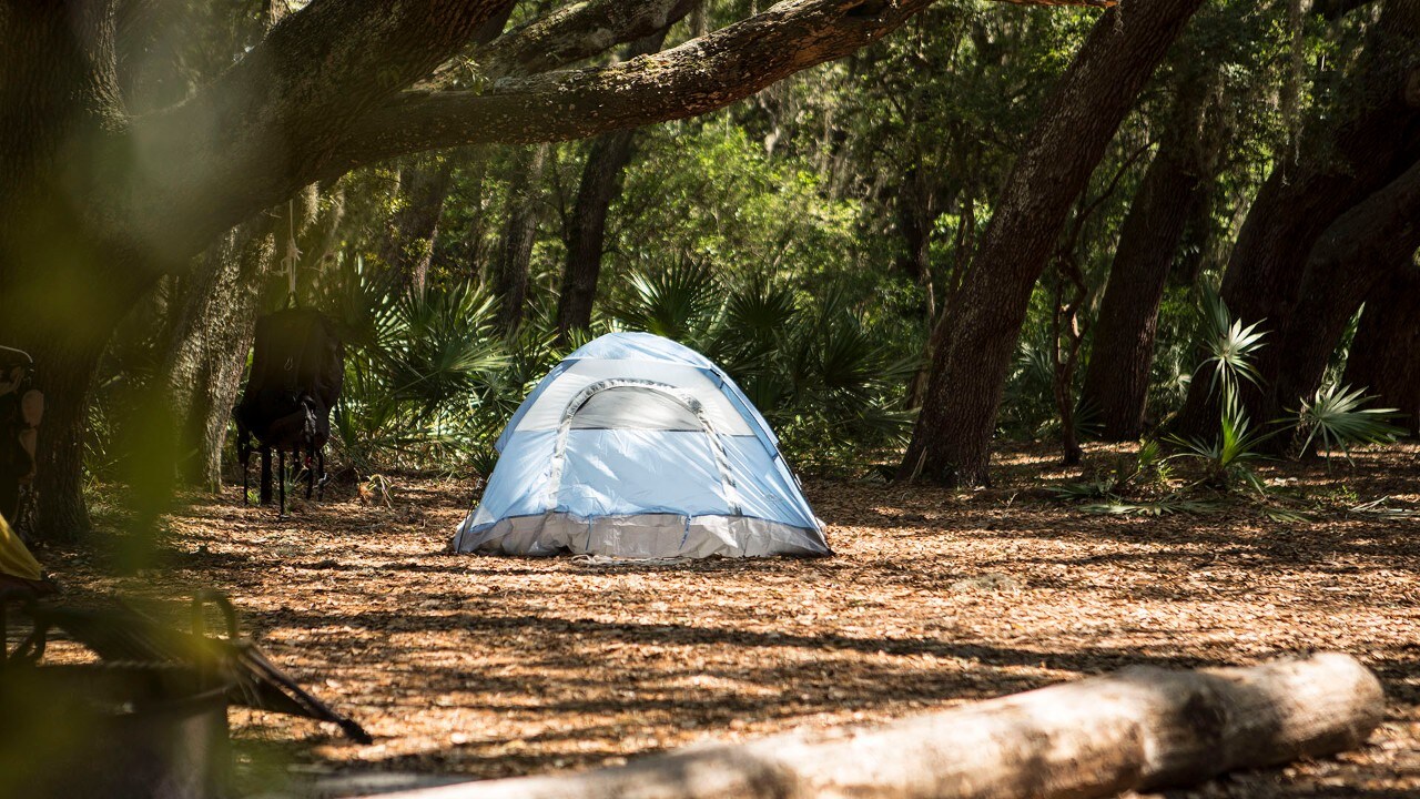 Tent on Cumberland Island