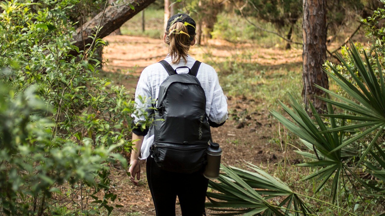 Hiking through Cumberland Island