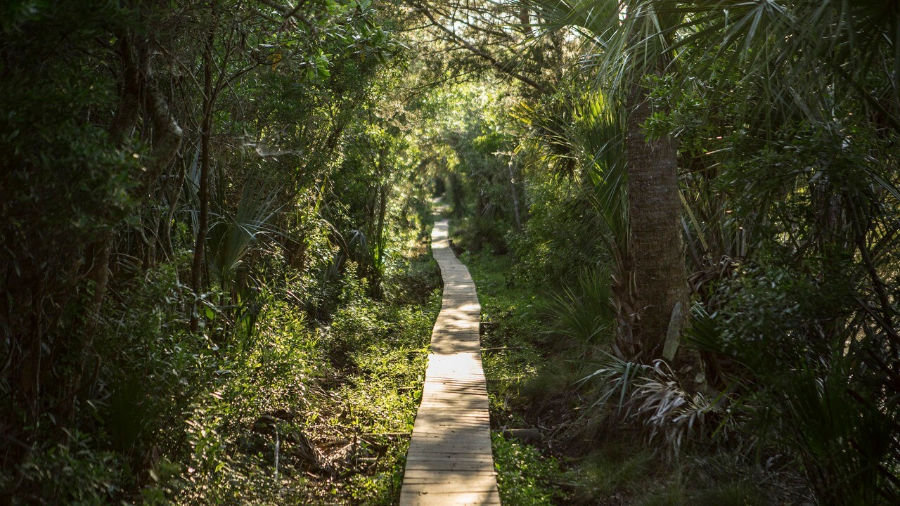 Cumberland Island has beautiful hikes.