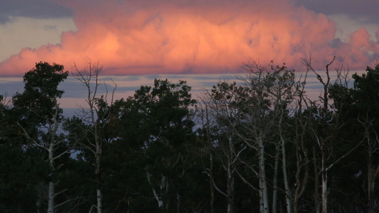 The sun rises near Aspen trees along Highway 12.