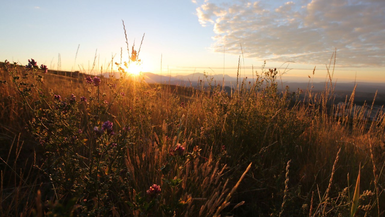 Sunrise at Homestead Overlook.