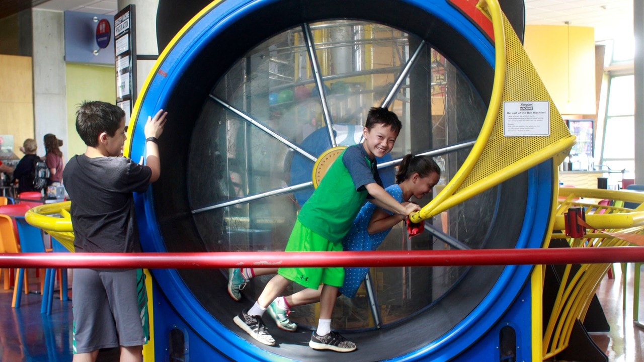 The Saint Louis Science Center features a planetarium, a life-sized T-rex and activities for kids.