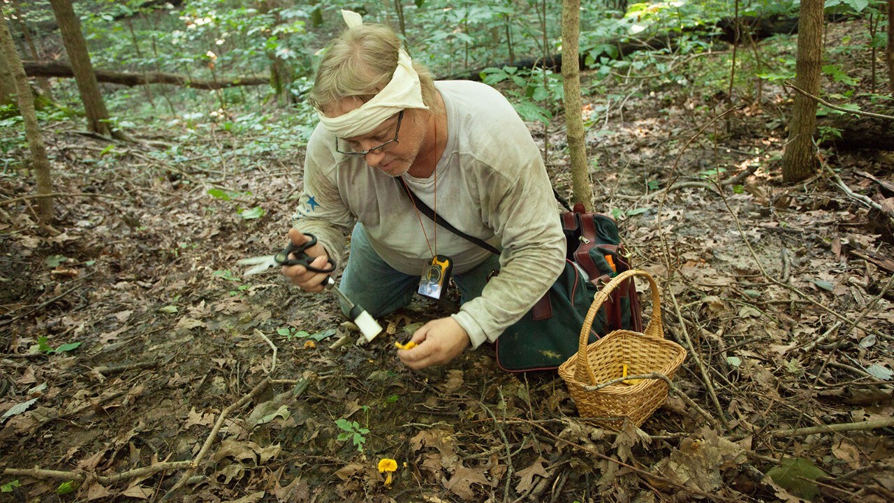 Satchjen uses a wicker basket for his mushrooms rather than a backpack to avoid crushing and bruising.