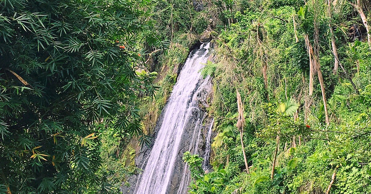 La Coca Falls 