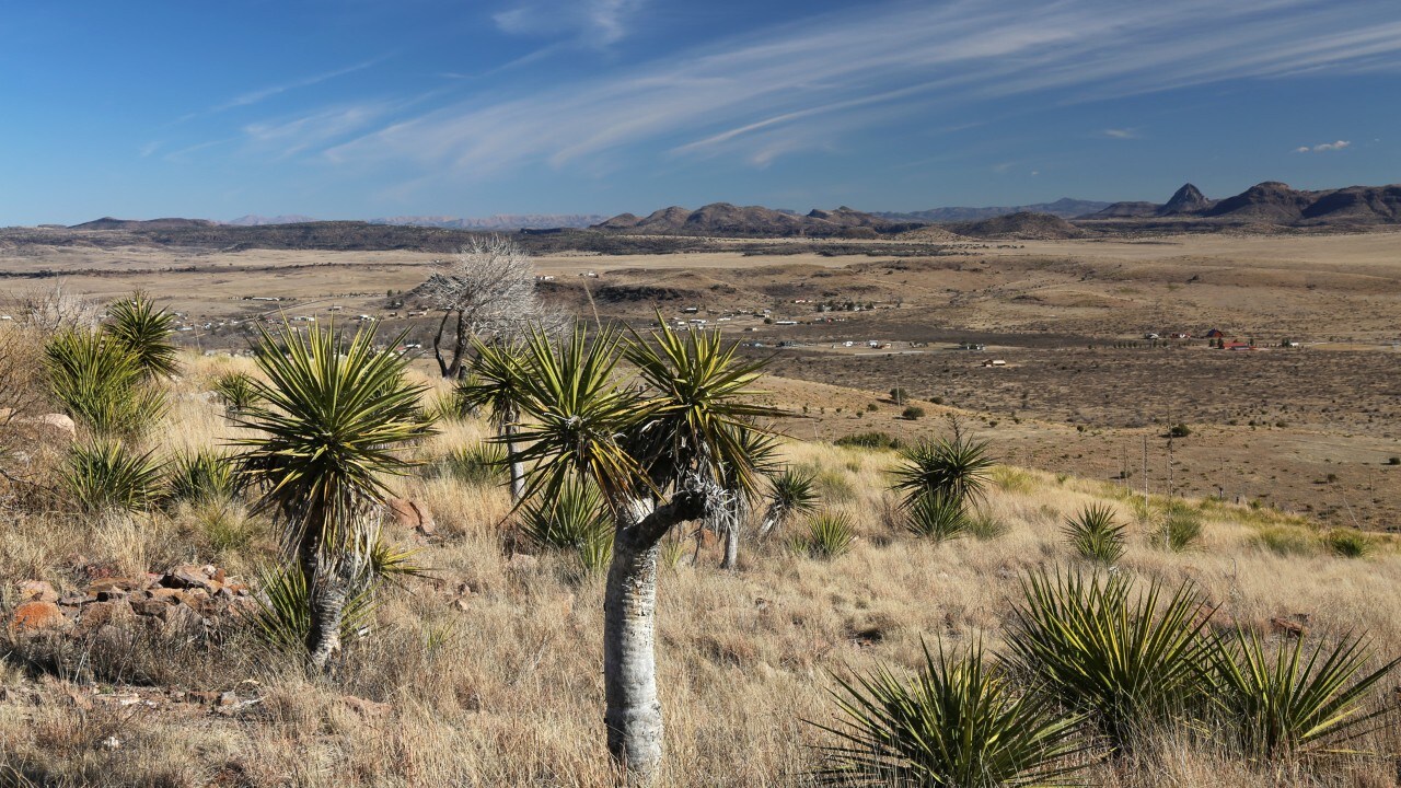 Davis Mountains State Park.