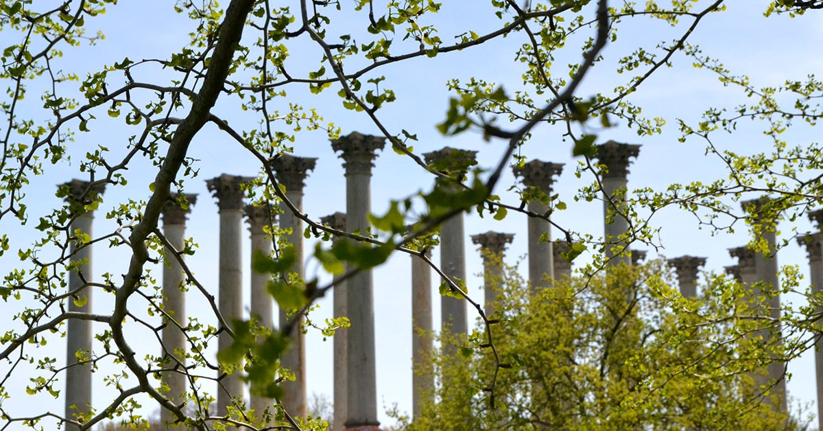 The National Arboretum has sandstone columns that were originally part of the Capitol's East Portico.