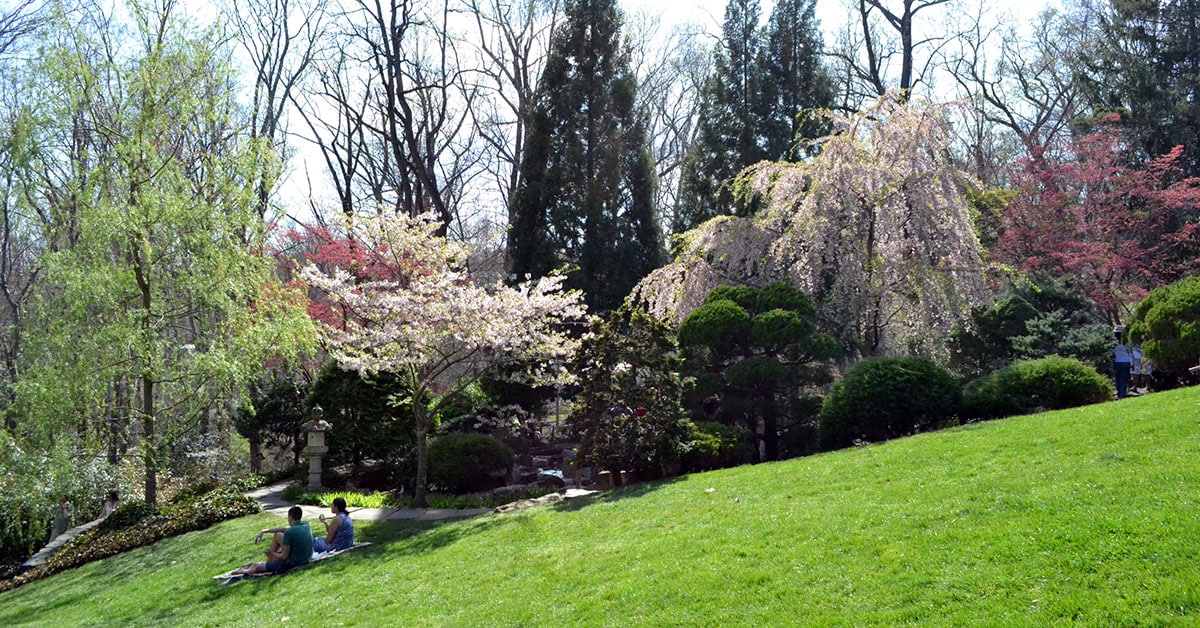 A tree-lined lawn slopes down from Hillwood Estate.