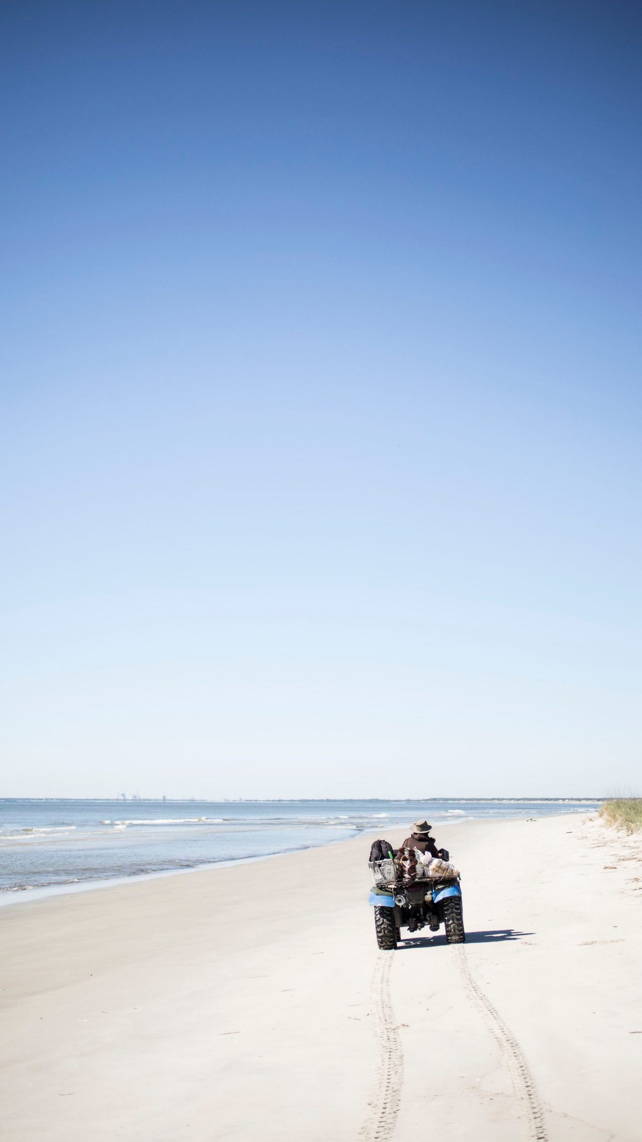 Every Friday, Carol surveys the beach to better understand the island’s precarious wildlife.