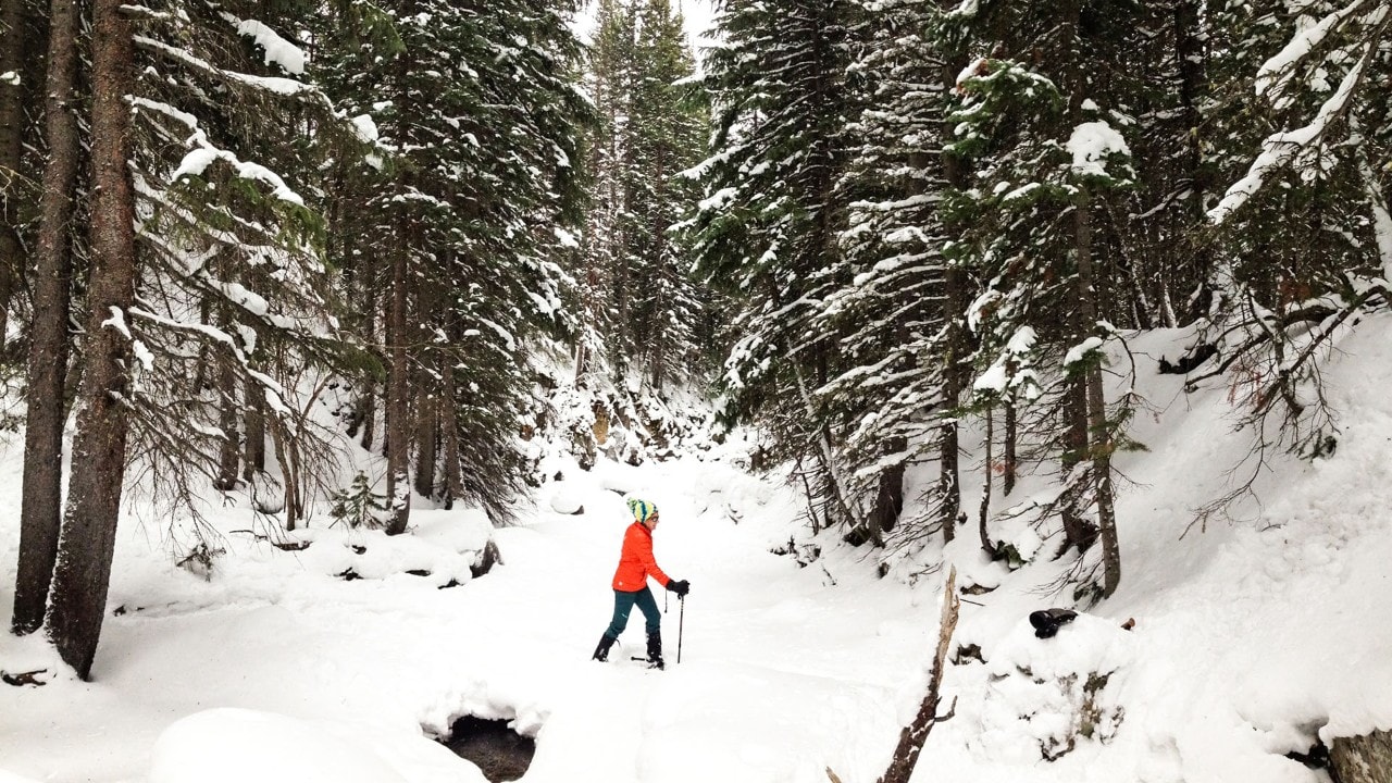 Joel seeks solitude among the trees.