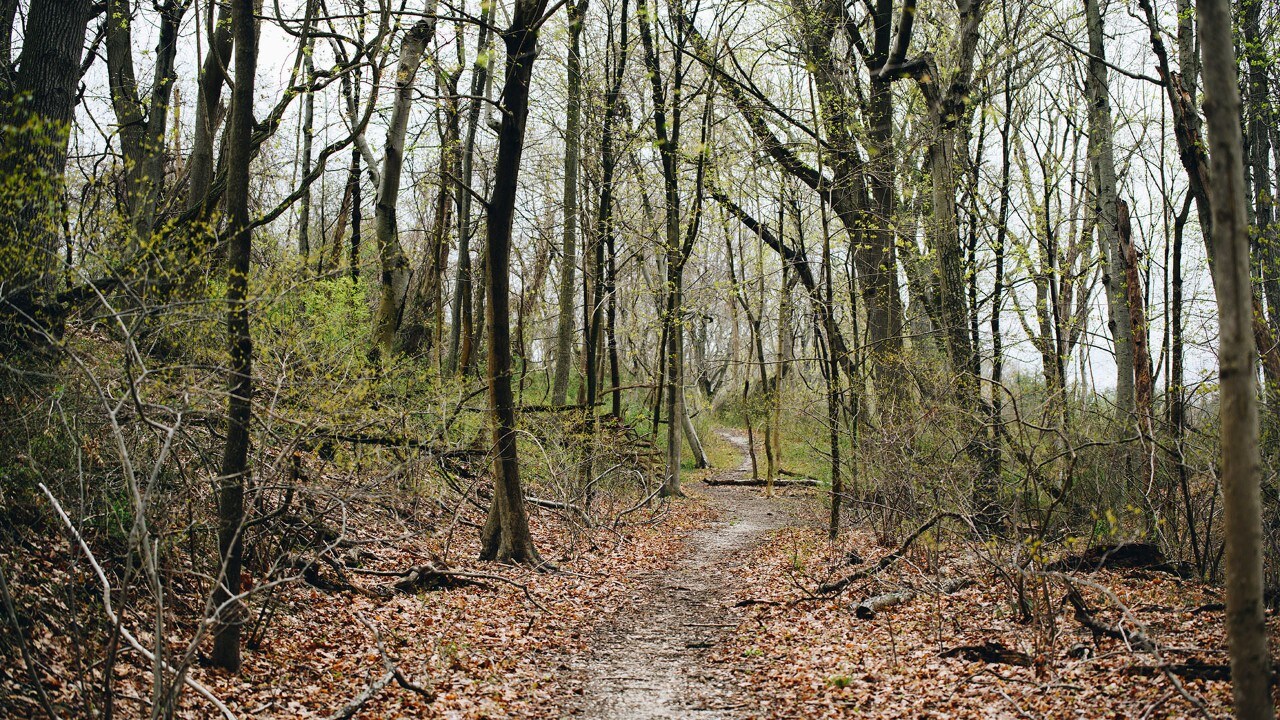 Van Cortlandt Park, Bronx