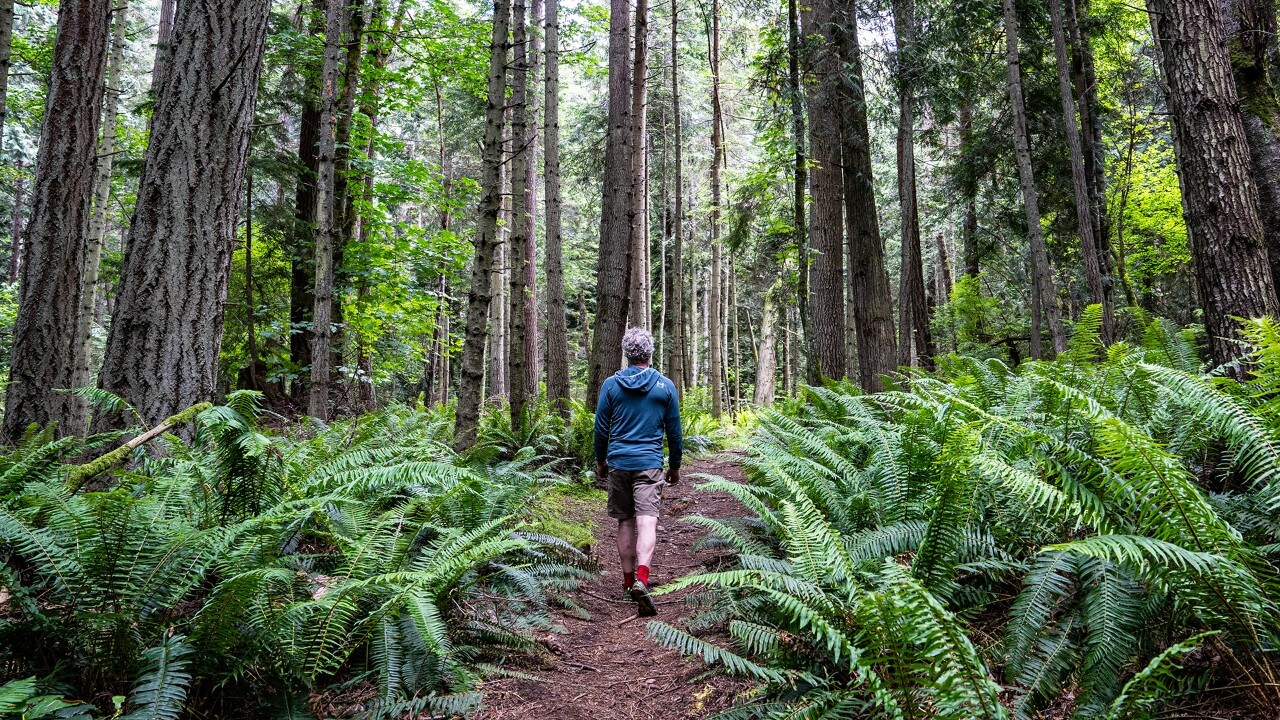 The author hikes on Cypress Island.