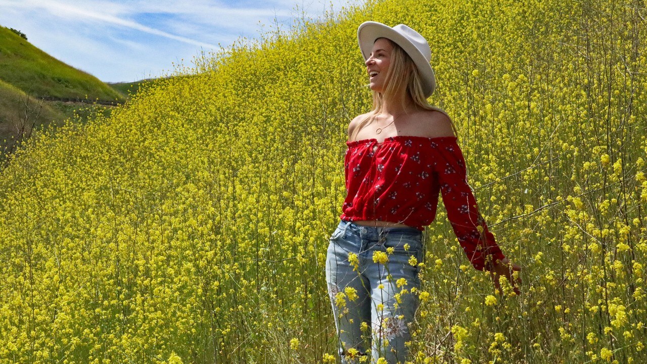 Black mustard can grow up to six feet tall at Chino Hills State Park.