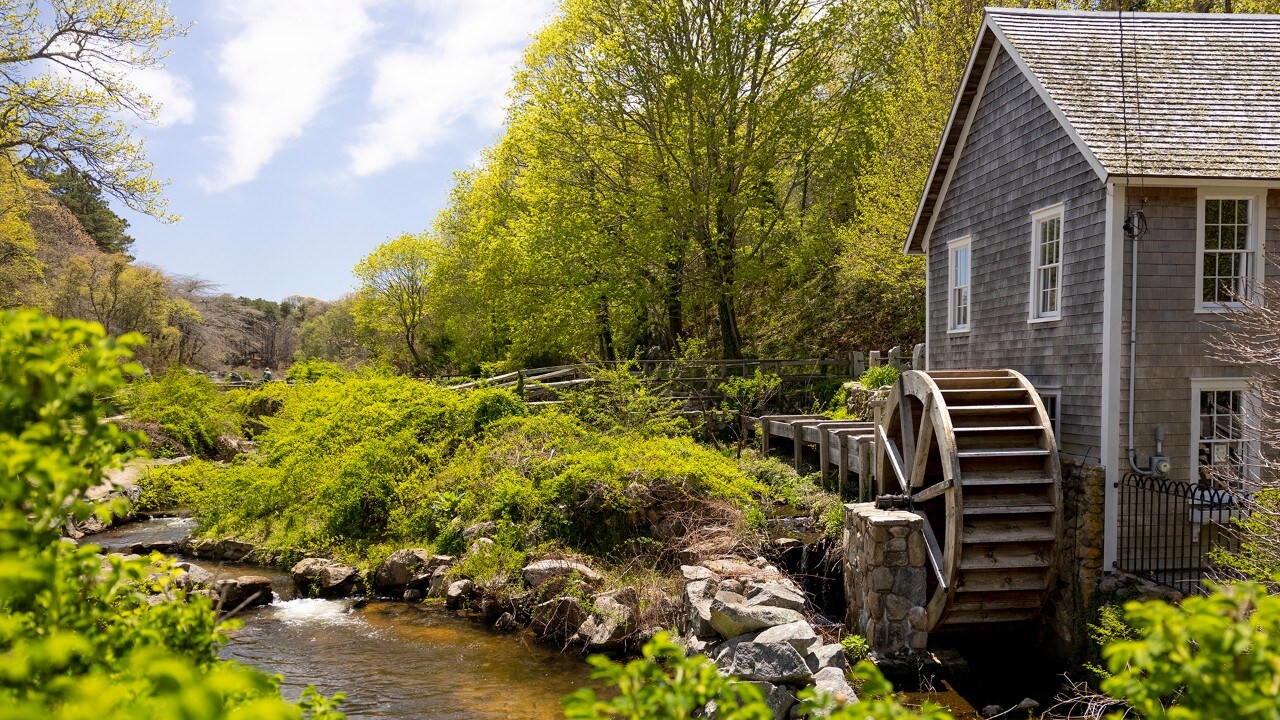 In spring, thousands of herring travel past the Stony Brook Grist Mill to spawn.