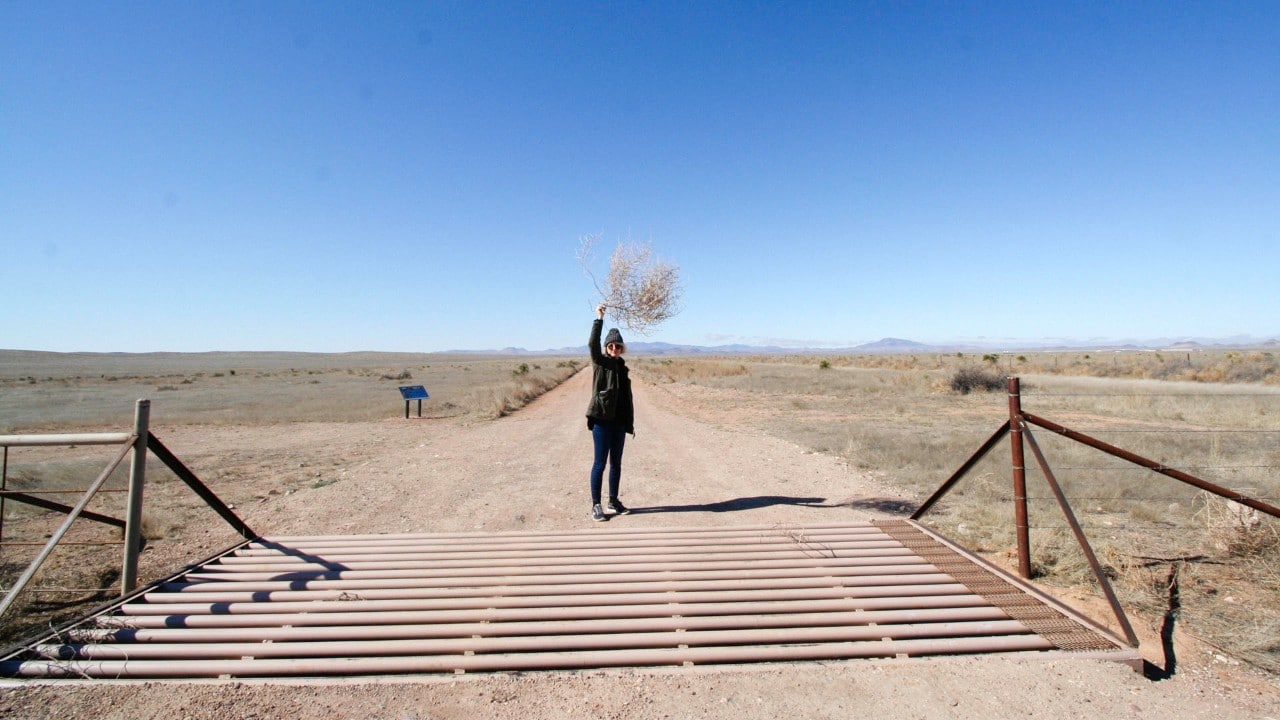 Erin holds a tumbleweed.