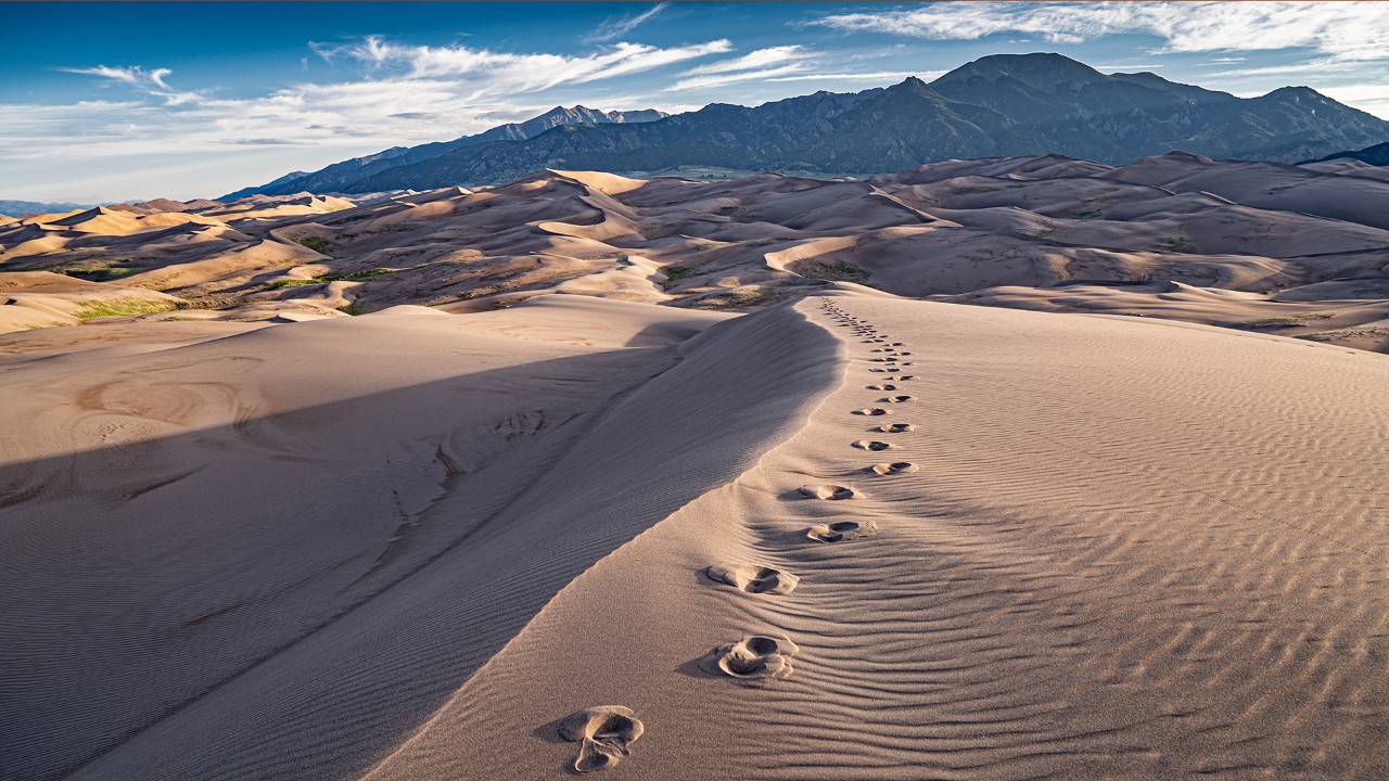 Early morning light envelops the backcountry region of Great Sand Dunes National Park.