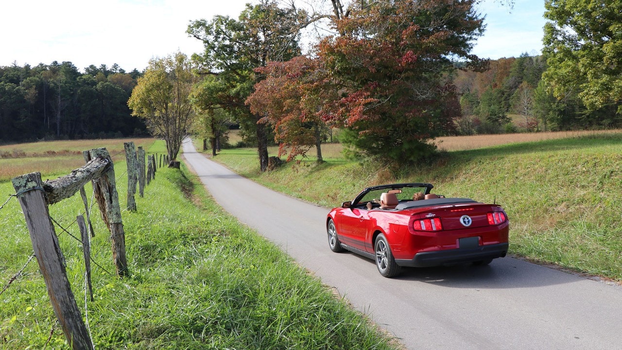 An 11-mile driving loop takes visitors through Cades Cove. Photo by Tom Uhlenbrock