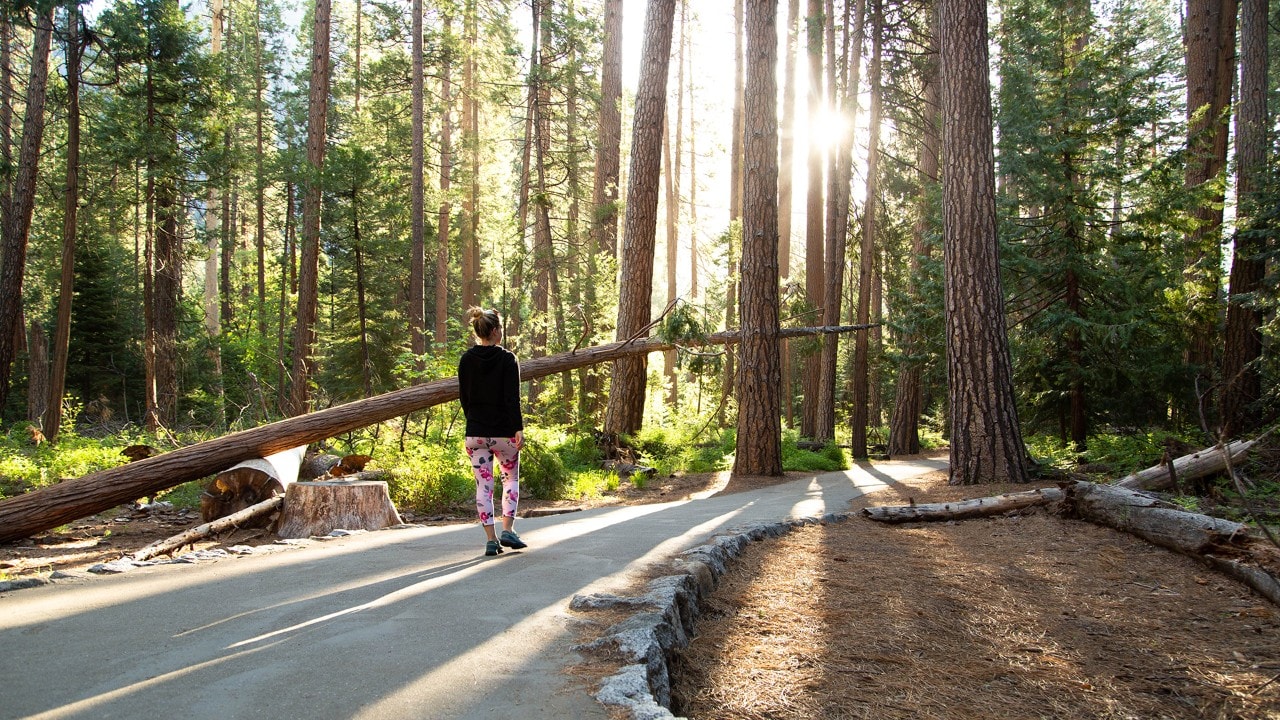 An early morning walk in Yosemite is a great way to start the day.